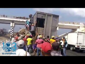Aprovechan accidente en Veracruz y saquean el ganado