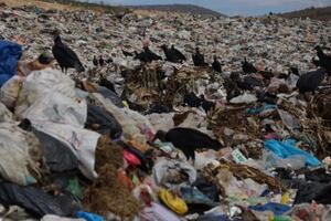 Tribunal ordena suspender basurero municipal de Kanasín; consideran que amenaza a acuífero de Mérida