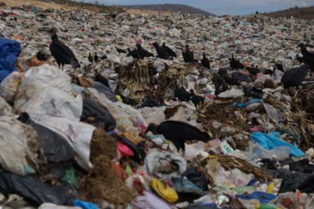 Tribunal ordena suspender basurero. Imagen ilustrativa. Foto: EL UNIVERSAL