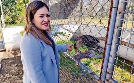 “Entregan al animal porque es evidente que no lo quieren”, dice la directora de la Brigada de Vigilancia Animal de la SSC