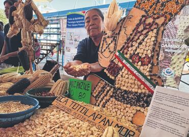 Maíces nativos honran la memoria de los antepasados