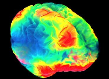 ¿Cómo se genera el placer en nuestro cerebro?, científico responde