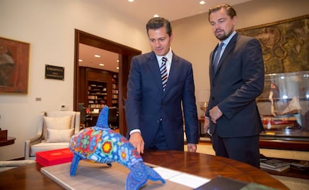 Leonardo DiCaprio agradece veda para proteger a la vaquita marina