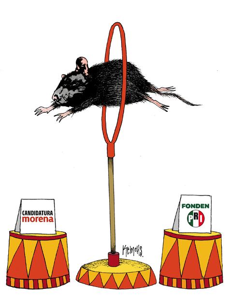 Cartón de KEMCHS