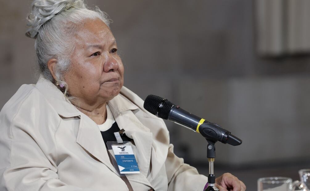 Activista Irinea Buendía Cortés, madre de Mariana Lima Buendía vpictima de feminicidio (23/08/2025). Foto: Especial