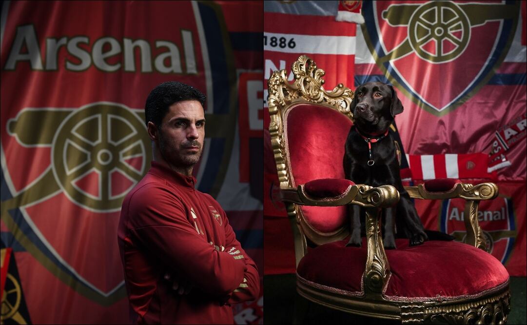 Arsenal presenta a una labradora como miembro del equipo para la actual temporada / FOTO: ESPECIAL