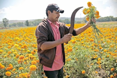La importancia de las flores