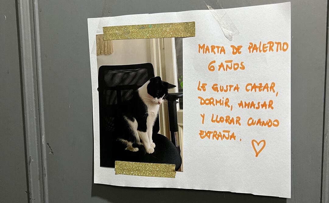 Foto: tomada de Twitter. @santiidelson