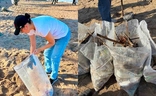 Realizan nueva jornada de limpieza de playas, parques y calles en Mazatlán; recolectan 8 metros cúbicos de basura y escombros