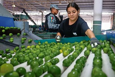 Blinda Plan Michoacán a la ruta del limón