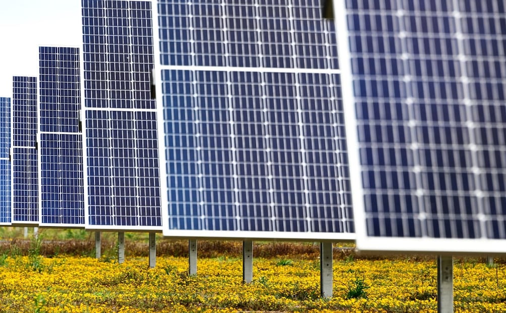 México se ha convertido en el motor de la transformación global de Cox tras la adquisición cerrada en abril de 2026. Foto: Cortesía