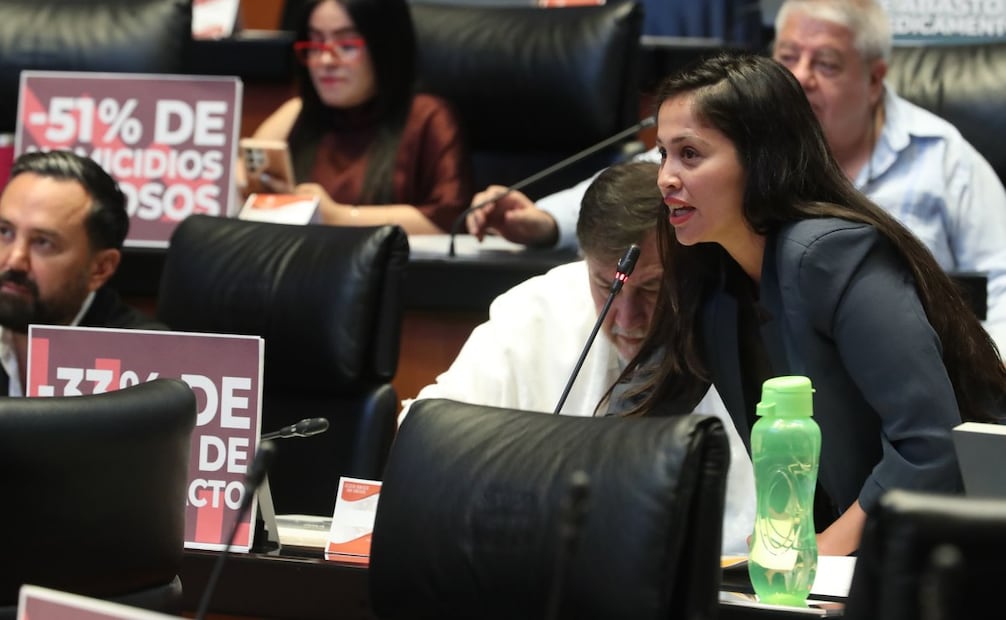 Andrea Navarro Pérez, diputada federal de Morena por Nayarit. Foto: Especial