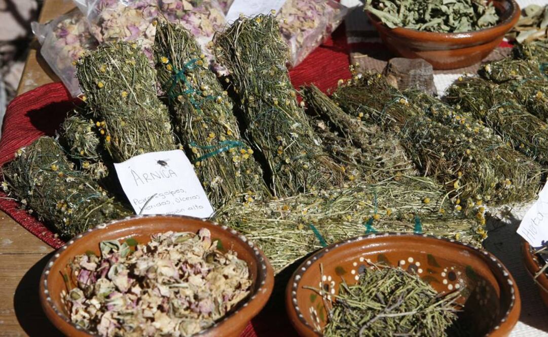 Hay estudios de evidencia de caso en por lo menos tres mil plantas medicinales. Foto: Archivo