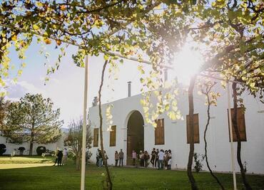 5 viñedos para visitar en México