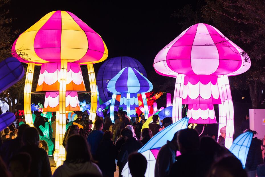 Luztopía representa la creatividad y el espíritu de comunidad que caracterizan al estado

Imagen: Cortesía