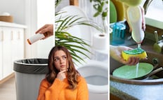No es el bote de basura ni el inodoro: este es el objeto más sucio del hogar y así puedes limpiarlo
