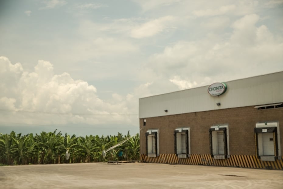 Michoacán, una comunidad en armas para plantar plátanos