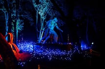 Fin de semana en CDMX: 5 actividades imperdibles