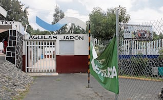 Sedema refrenda compromiso para cuidar zona arbolada del Parque Japón; en la zona se construye una Utopía