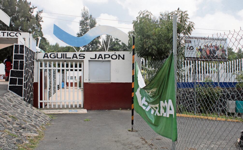 El Tribunal Electoral de la Ciudad de México confirmó la validez y los resultados de la consulta ciudadana para la construcción de la Utopía en el Parque Japón. Foto: Archivo / EL UNIVERSAL