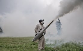 Regreso a clases: Fumigan 40 escuelas para combatir al mosco Culex en Tepetitlán, Hidalgo; labores seguirán hasta el 28 de agosto