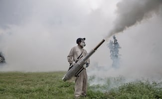 Regreso a clases: Fumigan 40 escuelas para combatir al mosco Culex en Tepetitlán, Hidalgo; labores seguirán hasta el 28 de agosto