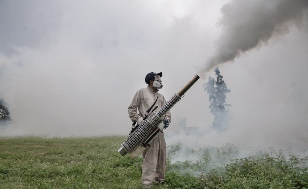 Fumigan 40 escuelas contra el mosco Culex en Tepetitlán, Hidalgo; labores seguirán hasta el 28 de agosto.
Foto: Especial.