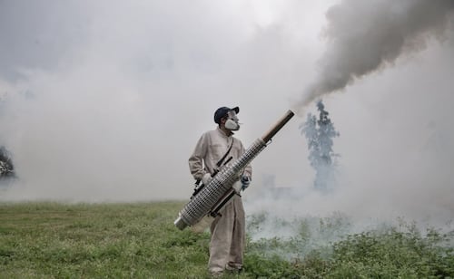 Regreso a clases: Fumigan 40 escuelas para combatir al mosco Culex en Tepetitlán, Hidalgo; labores seguirán hasta el 28 de agosto