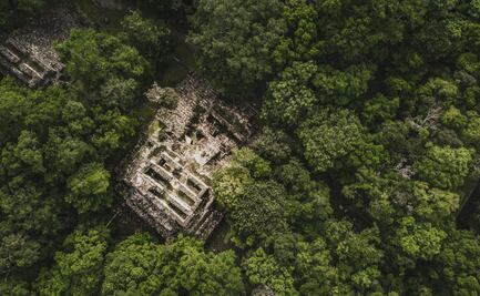 Tren Maya: reservas naturales por donde pasará la ruta