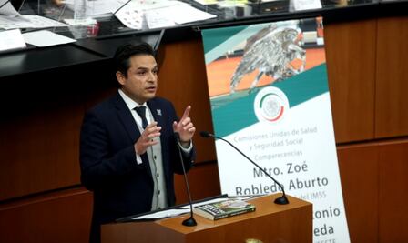 Se recuperó el empleo que se tenía antes de la pandemia: Zoé Robledo