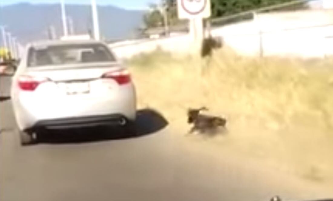 FOTO: Captura de pantalla