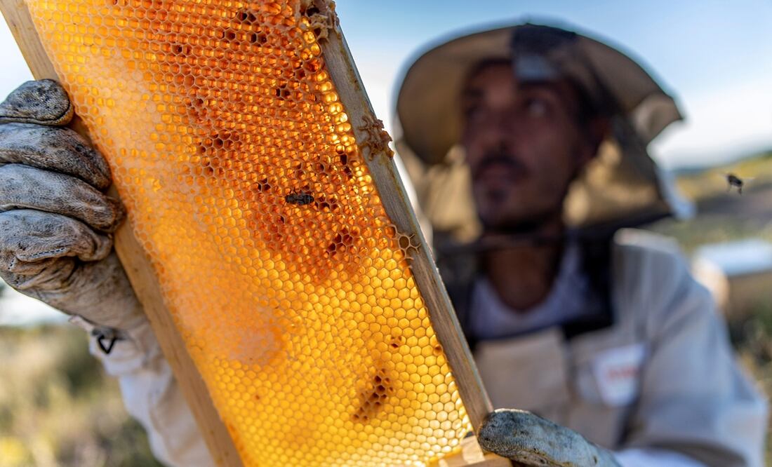 Foto: EFE/Ismael Herrero, archivo