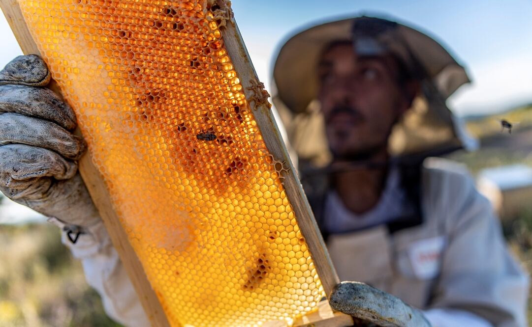 Foto: EFE/Ismael Herrero, archivo