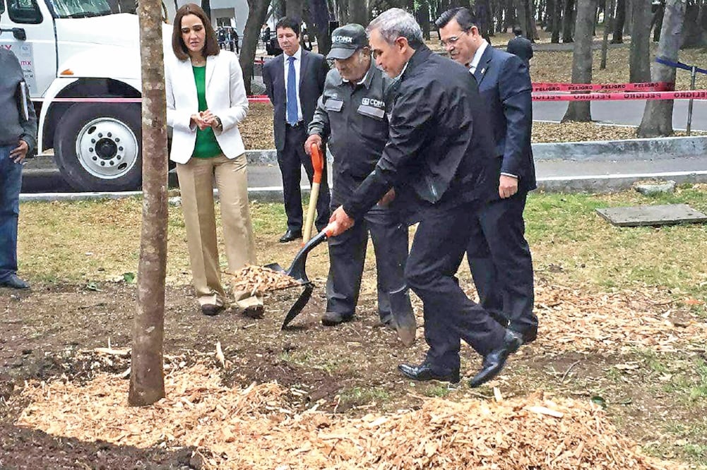 Hace unos días, el jefe de gobierno anunció el programa Reforestación CDMX 2016, con el que se pretende plantar 3 mil 500 árboles en la ciudad. (ARCHIVO. EL UNIVERSAL)