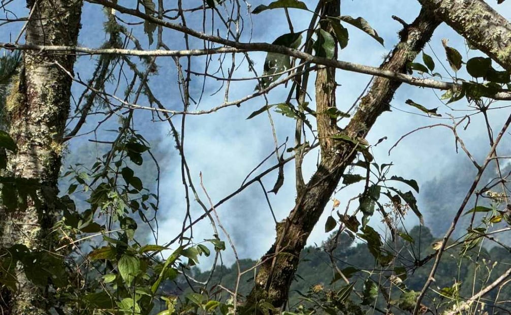 Reportan incendio forestal fuera de control en Juxtlahuaca, Oaxaca; comunidades triquis piden apoyo urgente.
Foto: Especial.