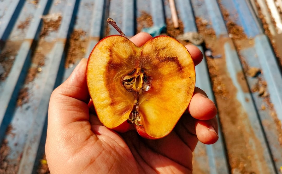 Foto: Wirestock / iStock