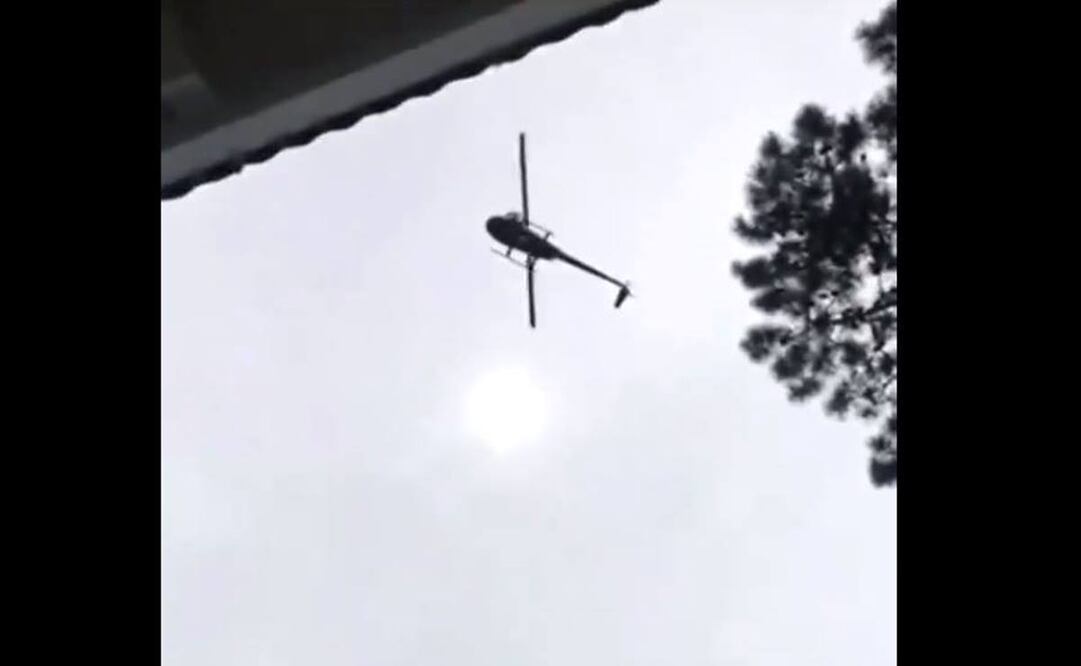 Lanzan cerdo muerto desde helicóptero (Foto: Captura de pantalla)