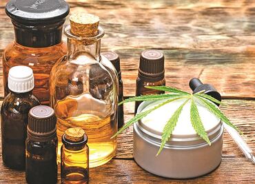 De cannabis a competencia de Uber: las nuevas franquicias que surgen en México