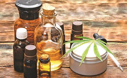 De cannabis a competencia de Uber: las nuevas franquicias que surgen en México