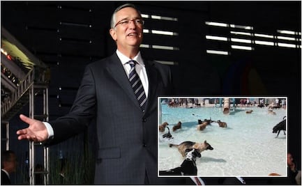 Salinas Pliego y el meme que convirtió en realidad: "Cuando sea millonario..."