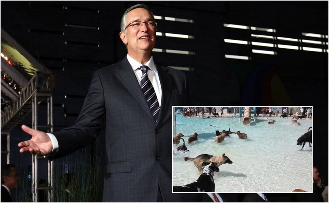 El magnate compartió un meme en alusión a un hecho que sucedió recientemente. Foto: EL UNIVERSAL