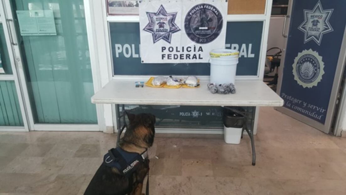 Aseguran crystal en bote de chiles y marihuana líquida en cigarros electrónicos en Culiacán