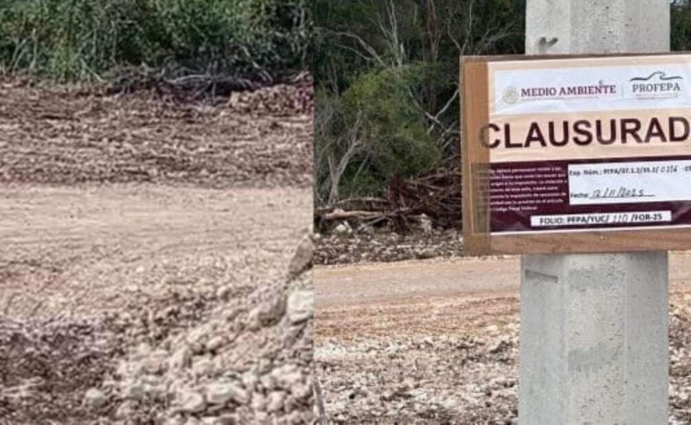 Consejo comunitario acusa a empresa avícola de ignorar clausura; denuncia daños ambientales.
Foto: Especial.
