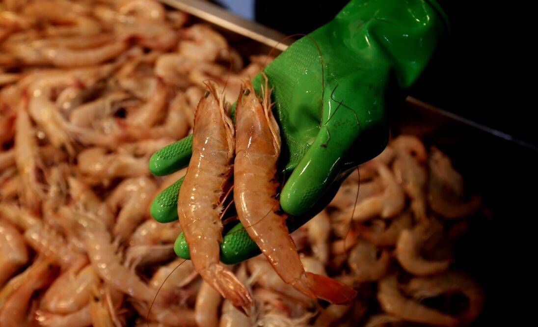 Comerciantes de La Nueva Viga están listos para la venta de pescados y mariscos a propósito de la época de Cuaresma, el 7 de marzo de 2025. Foto: Fernanda Rojas/EL UNIVERSAL