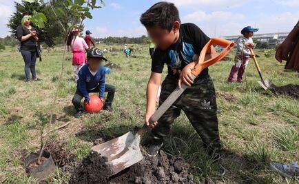 Inicia campaña de reforestación en Toluca; buscan plantar 5 millones de árboles
