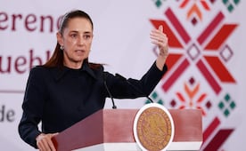 Gobierno busca reapertura de fronteras al ganado mexicano; Sheinbaum destaca acciones para controlar plaga de gusano barrenador