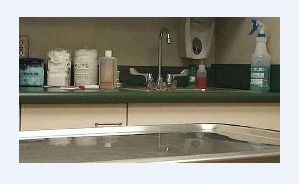 ¿Puedes ubicar al gato en este consultorio?