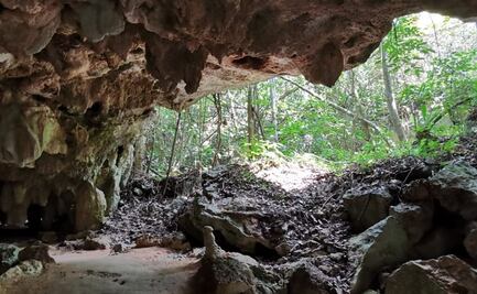 Entregan evaluación sobre impacto ambiental para el polémico Tramo 5 Sur del Tren Maya