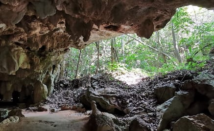 Entregan evaluación sobre impacto ambiental para el polémico Tramo 5 Sur del Tren Maya