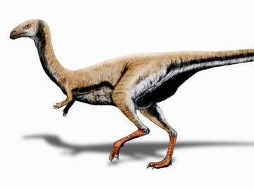 El Limusaurus, un dinosaurio que perdía los dientes al hacerse adulto